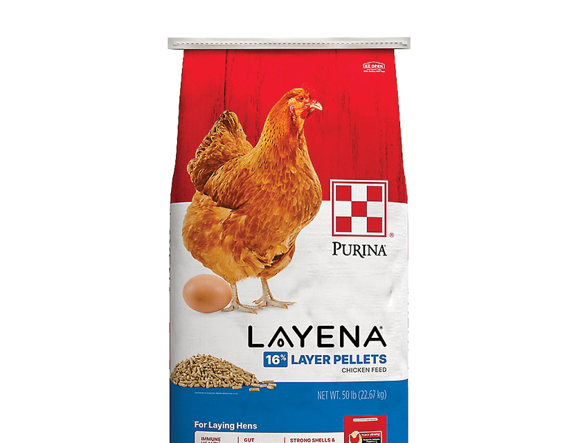 Save 2 dollars on Purina Layena chicken feed. Shop now.